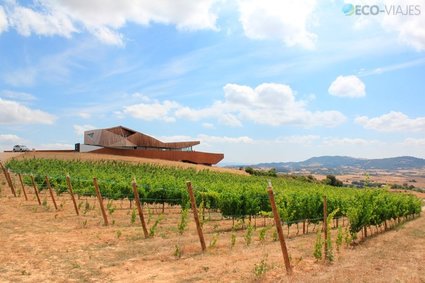 Vinos ecológicos navarros: Aroa Bodegas (Zurukuain, Valle de Yerri)