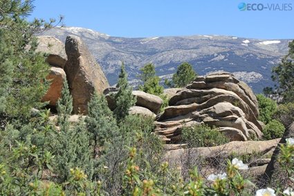 Horizontes de La Pedriza: del Collado del Terrizo a Quebrantaherraduras