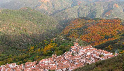 En 2017, haz el camino del sur