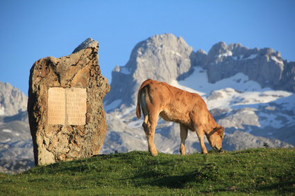  Festival de Turismo Sostenible de Asturias