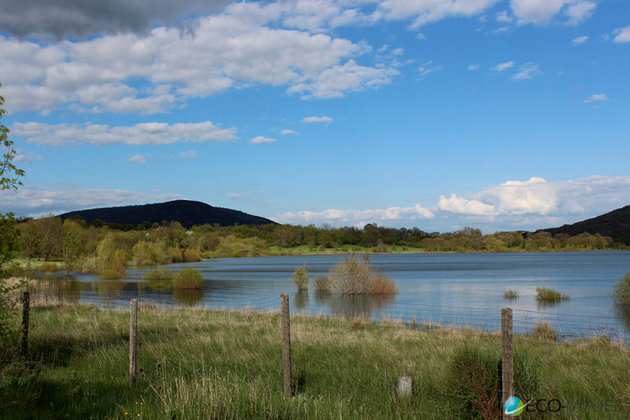 La primavera en el Valle de Lozoya
