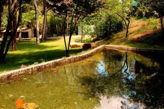 Estanque donde viven los cangrejos autóctonos Estanque donde viven los cangrejos autóctonos