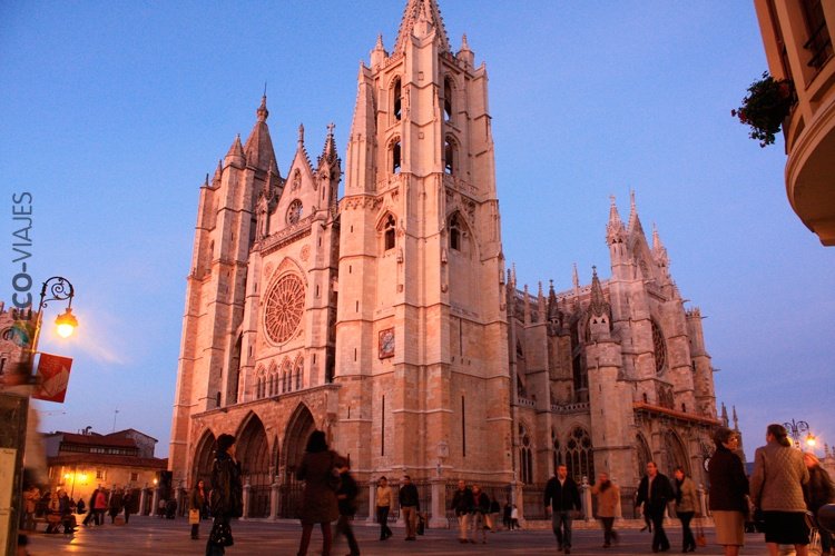 Catedral, vista nocturna Catedral, vista nocturna