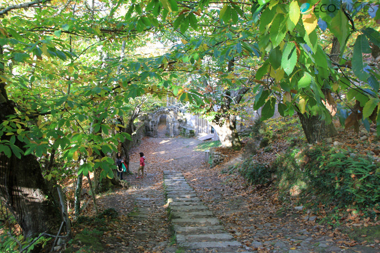Turismo de otoño en fotos