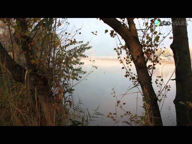 Eco-Viajes en los Humedales del Jarama