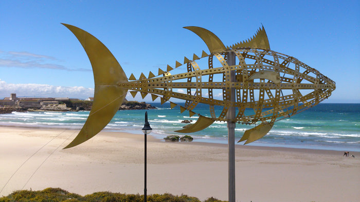 Cádiz celebra la llegada del atún rojo
