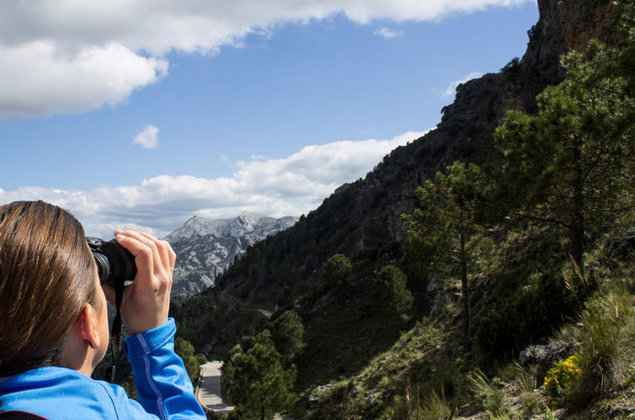 Turismo ornitológico en Cádiz