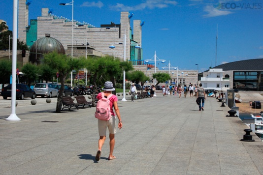 Palacio de Festivales