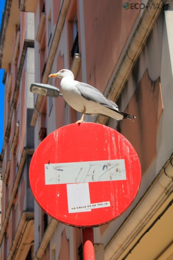 Detalle de la calle del Río de la Pila