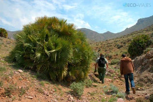 No todo es mar en el Cabo de Gata-Níjar