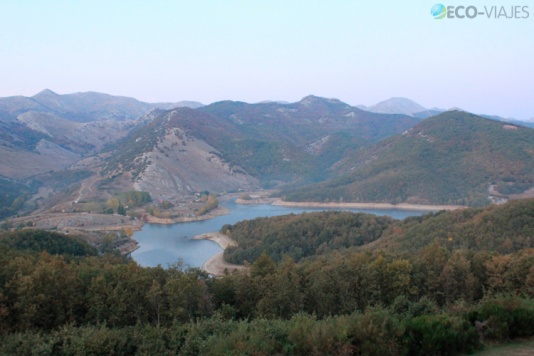 Berrea del ciervo en la Montaña de Palencia